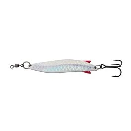 eurotackle202606031837482365242