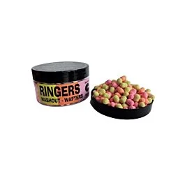 eurotackle202606031840432367865