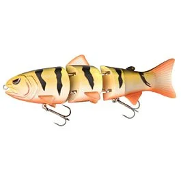 eurotackle202606031843042370030