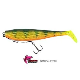 eurotackle202606031845292372185