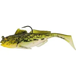 eurotackle202606031846382373264