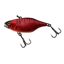 eurotackle202606031846452373391