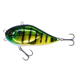 eurotackle202606031853232379742