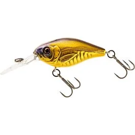 eurotackle202606031857492384076