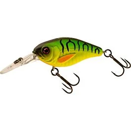 eurotackle202606031857492384094