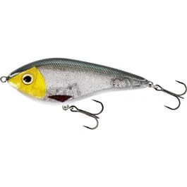 eurotackle202606031858272384692