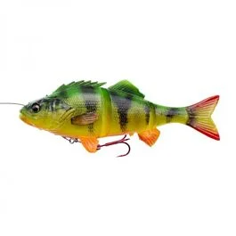 eurotackle202606031913562398952