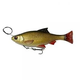 eurotackle202606031924062408851