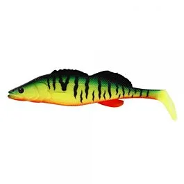 eurotackle202606031925012409786