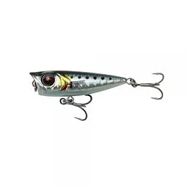 eurotackle202606031926182411049