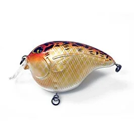 eurotackle202606031927562412627