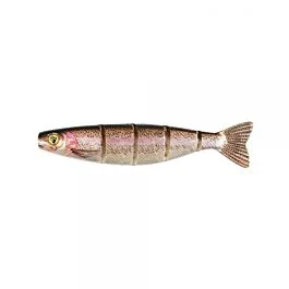 eurotackle202606031930462415189