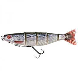 eurotackle202606031931132415619