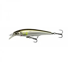 eurotackle202606031931472416126