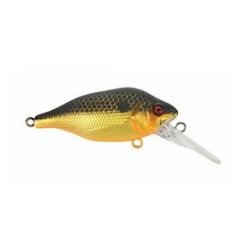 eurotackle202606031934232418605