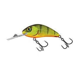 eurotackle202606031937042421144