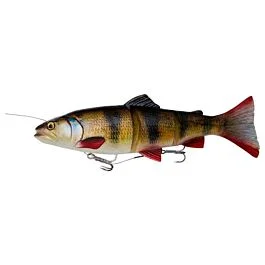 eurotackle202606031938152422280