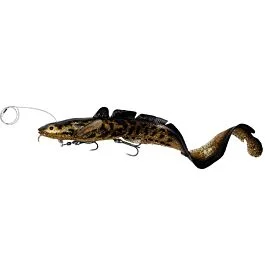 eurotackle202606031938442422722