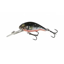 eurotackle202606031941192425182