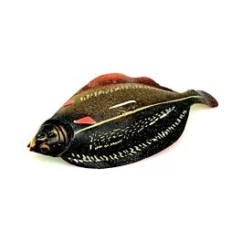 eurotackle202606031942152426054