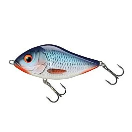 eurotackle202606031942262426219
