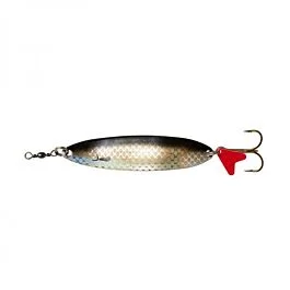 eurotackle202606031947242430690