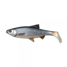 eurotackle202606031949372432670