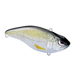 eurotackle202606031952102434886