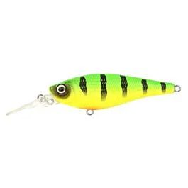eurotackle202606031952112434893