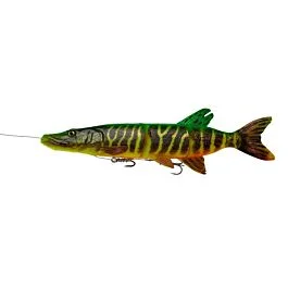 eurotackle202606031956322438686