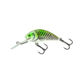 eurotackle202606032003312444170