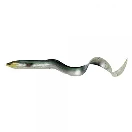 eurotackle202606032011212450250