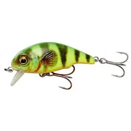 eurotackle202606032012082450848
