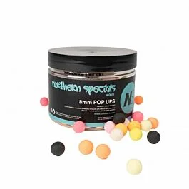 eurotackle202606032018452456059