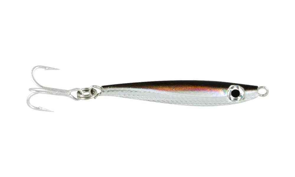 fishstorexl202606031818112346013