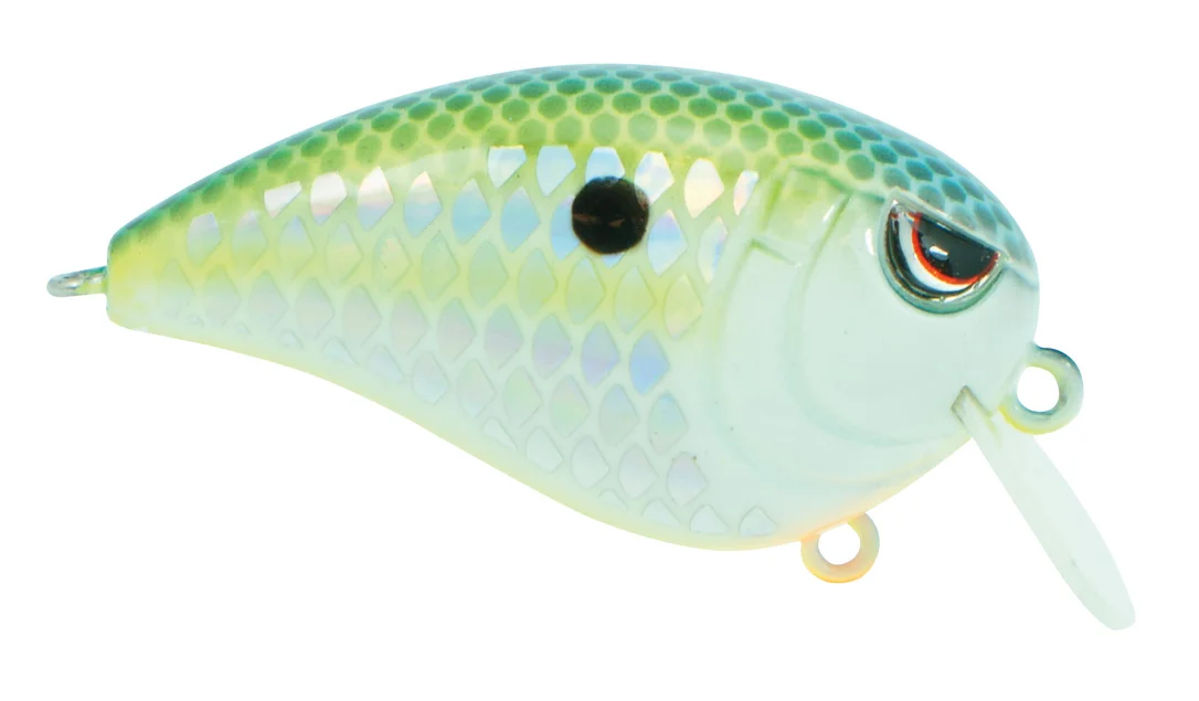 fishstorexl202606031819512347756