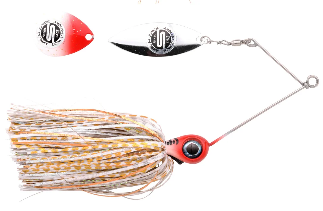 fishstorexl202606031822552350804
