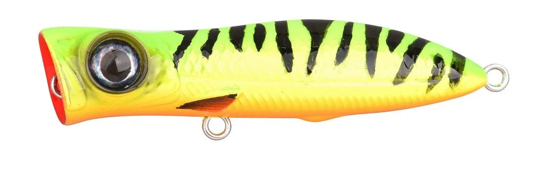 fishstorexl202606031823042350943