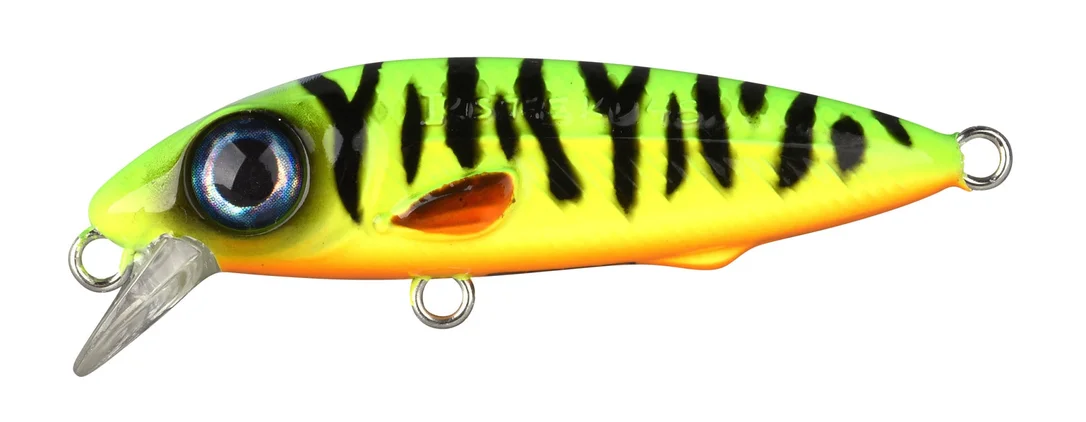 fishstorexl202606031823192351183