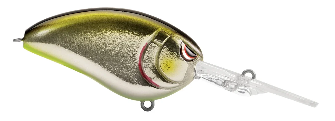 fishstorexl202606031824232352214