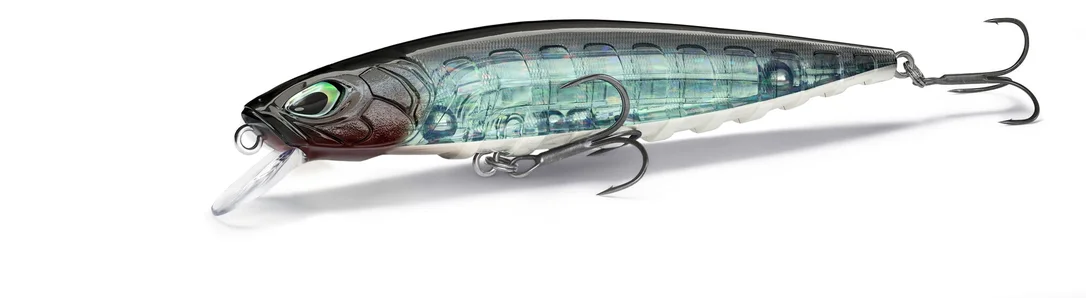fishstorexl202606031825572353754