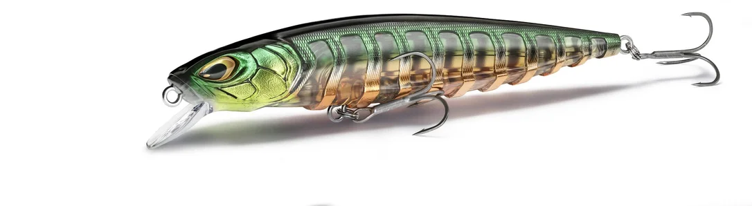 fishstorexl202606031826002353791