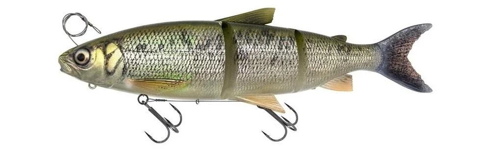 fishstorexl202606031829512357566