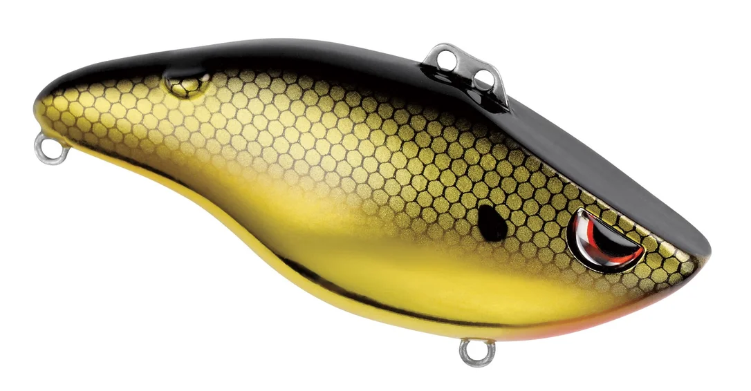 fishstorexl202606031836202363894