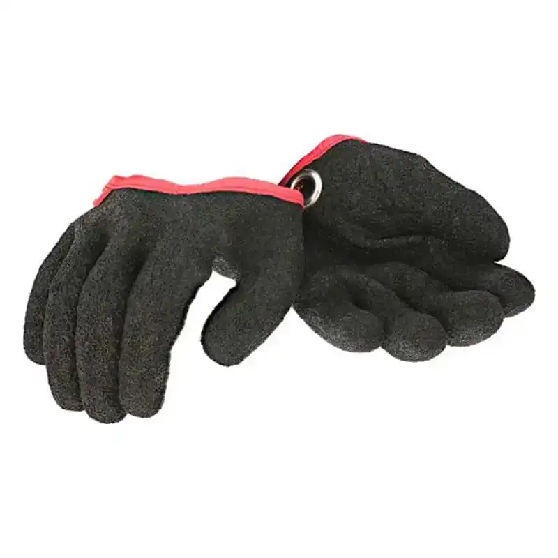 hengelsportfauna202606031829582357677