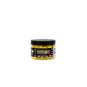 pecheur-store-1202606031900372386650