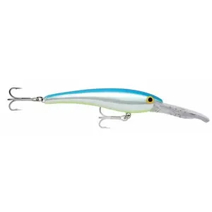 pecheur-store-1202606032025382461246