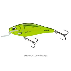 pecheur-store-1202606032028192463158