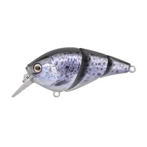 pecheur-store-1202606032126492502171