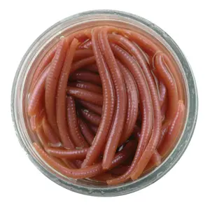 pecheur-store-1202606032236522531778